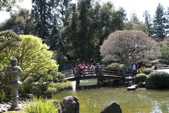Мост и пруд в Japanese Garden San Mateo